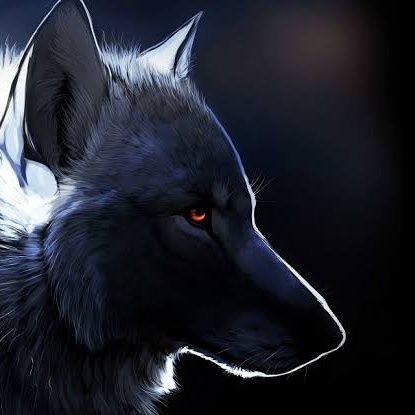 Anonymous0055's profile picture. 