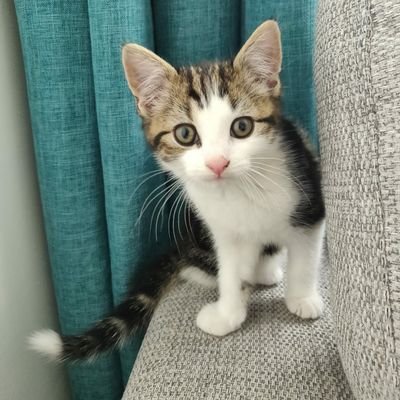 KAPritchard's profile picture. 