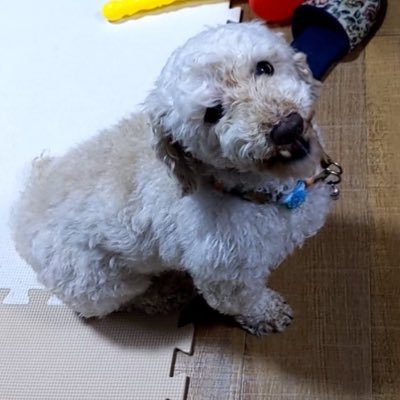 プログラミング学習を始めました🔰 モチベーション維持のために投稿し続けます❗️ 一緒にプログラミングを頑張ろうと思う方、フォローお願いします🙏 #progate #駆け出しエンジニアと繋がりたい #プログラミング勉強中