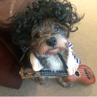 barney hubble (@barneyboy2k) 's Twitter Profile