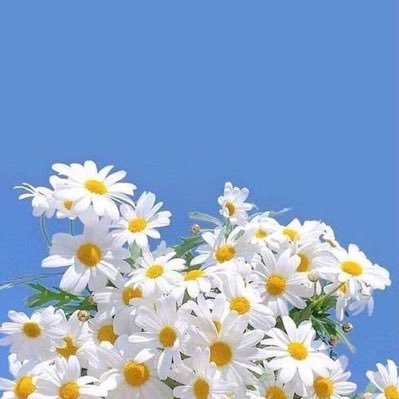 Khanitkornさんのプロフィール画像