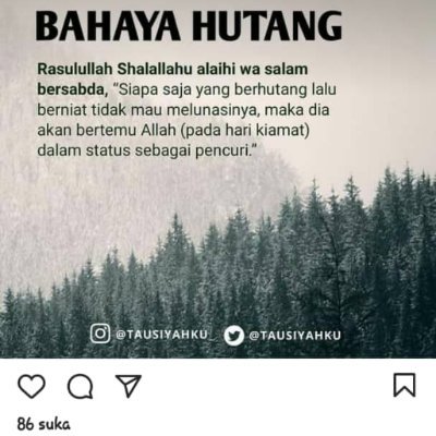 Muller91911's profile picture. Bijak
