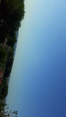 Selin36879431's profile picture. ...