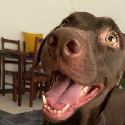 ChicoOhChico's profile picture. 🔴⚪