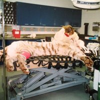 Carrie Logsdon McCullough (@mnzoodds) 's Twitter Profile Photo Carrie Logsdon McCullough (@mnzoodds) 's Twitter Profile Photo