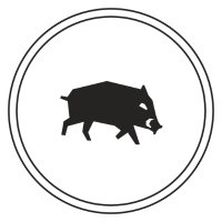 Le Quartanier (@lequartanier) 's Twitter Profile