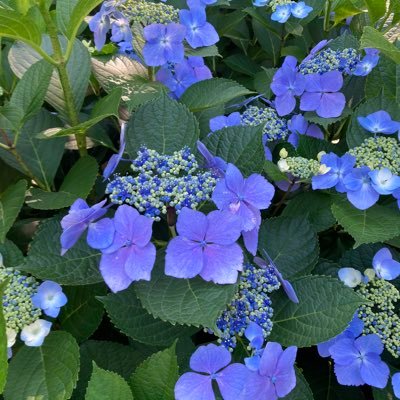 Yfujita51346660's profile picture. Music