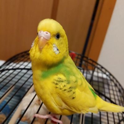 UHs3joPxt0nfJVA's profile picture. ご無礼があったらすみません。スマホも初心者です💦只今、低浮上です。嫌ならブロックかけても構いません。皆さん負けないでお元気でいてくださいね🤗🍀😄🤣😂😭😭😭