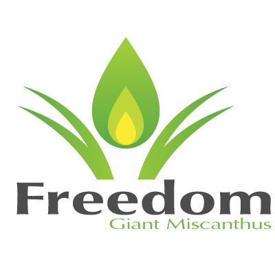 GiantMiscanthus's profile picture. Freedom Giant Miscanthus is the only named, certified, registered Giant miscanthus available on the market. It grows taller, yields more. It's Biomassive.