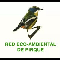 Red Eco Ambiental De Pirque (@rpirque) 's Twitter Profile Photo