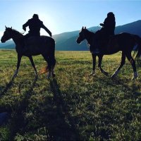 عُلالة صبّ (@isha6a) Twitter profile photo