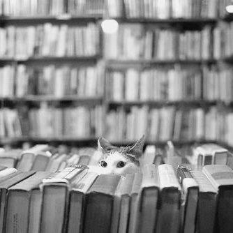 Asceta, Autodidacta, bibliófilo y algo de pedagogo
