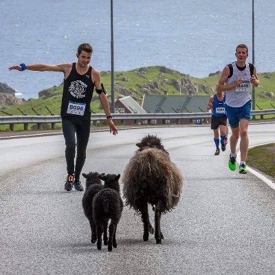 Official Twitter account of the Tórshavn Marathon. https://t.co/uwlLMf6BA1
#torshavnmarathon