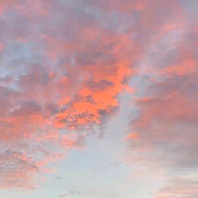 CoolfluffyD's profile picture. :)