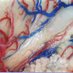 Neurosurgical Anatomy (@neurosurga) Twitter profile photo Neurosurgical Anatomy (@neurosurga) Twitter profile photo