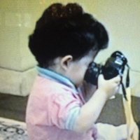 نِمورینو (@nimches) 's Twitter Profile