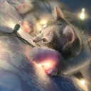 Aimee Torres - @AimeeTo05976013 - Twitter