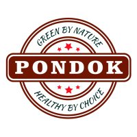 Pondok Fresh Falafel and Juice(@pondokfalafel) 's Twitter Profile Photo