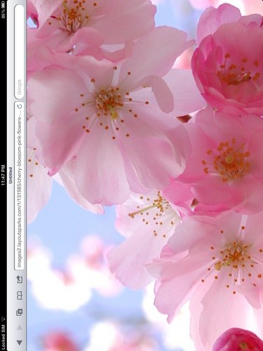 mayhamad's profile picture. 