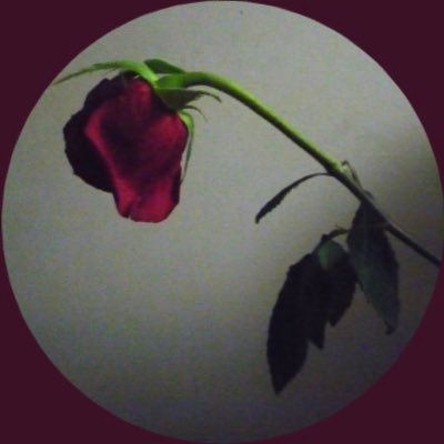 darkvibes420's profile picture. 