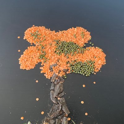 harvey_ker's profile picture. Wife, mother, educator, coach, traveller. Passionate about supporting students through assistive technology and universal design for learning.