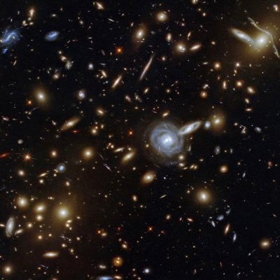 irkedkid's profile picture. 