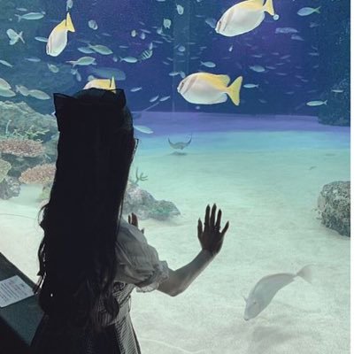 popopopo1069's profile picture. 25↑tokyo:情報🔰お👀ア👋は報道💛🌈💛🧡多忙のﾀﾒ、DMなど遅くなる事ありますのでご了承下さい🙇‍♀️必ずお返事はします