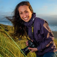 Nola Seas 🌊📷 👁️ (@nolaseas) Twitter profile photo