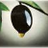 OliveGlobal's profile image