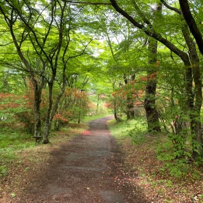 えいやー🎯 介護福祉士✖️児童発達支援管理責任者✖️嫁の弟弁護士✖️DAZN最高