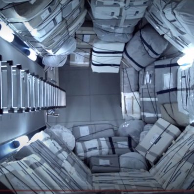 qlffjsfjs's profile picture. 