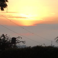 Anne Merriman (@annemerriman9) 's Twitter Profile