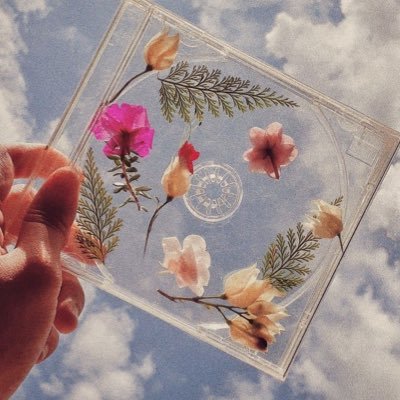 🍃 Systemさんのプロフィール画像