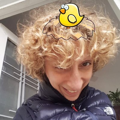 rominagamboni's profile picture. 