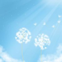 cassie (@hninhsuyimyo2) 's Twitter Profile Photo cassie (@hninhsuyimyo2) 's Twitter Profile Photo