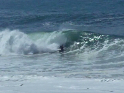 FoundaFact's profile picture. 