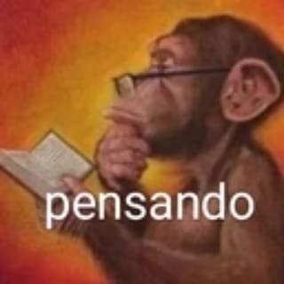 Akari21115456's profile picture. sim