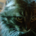 Jonathan Li - @Jonathan__Li - Twitter