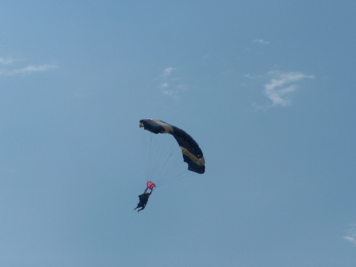 DebraHughesWitt's profile picture. 