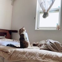 Hi-ν (@newtype1978) 's Twitter Profile