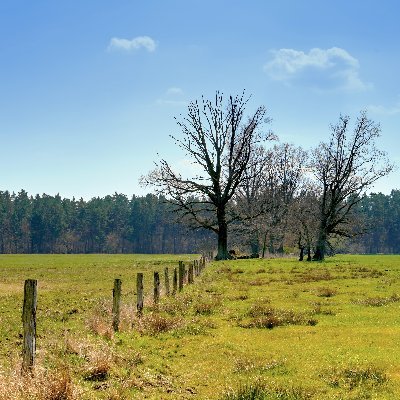 Fotografien aus der Uckermark...