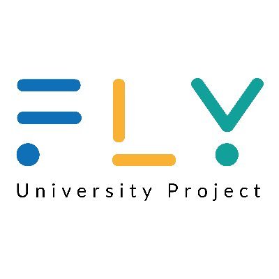 Fly University Project helps and supports young talents through the provision of university scholarships in the fields of Artificial Intelligence and Management