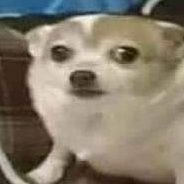 DumbTheWise1's profile picture. If there is wisdom to be found, let me be a part of it. Evolution is continuous. You stop living, when you stop evolving. Independent Opinions & Thoughts…P!