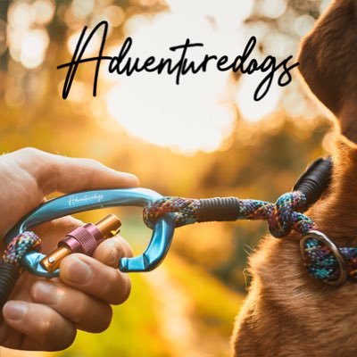 _Adventuredogs_'s profile picture. Aus der Liebe zum Hund, zur Natur und zu den Bergen🐕🌲🏔 •Von Hundetrainern gegründet🦮 •100% handgemacht🖐🏼 •regional produziert 🇦🇹 • https://t.co/n5j8ZSICzr