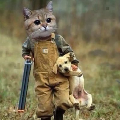 devopstoken's profile picture. Full