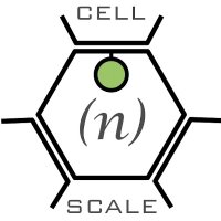 LabEx Cell(n)Scale(@LabexCnS) 's Twitter Profile Photo