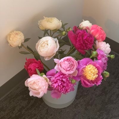 Amber_Hsueh's profile picture. 