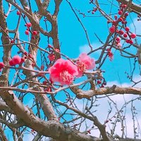 悠 (@nanikano04) 's Twitter Profile Photo 悠 (@nanikano04) 's Twitter Profile Photo