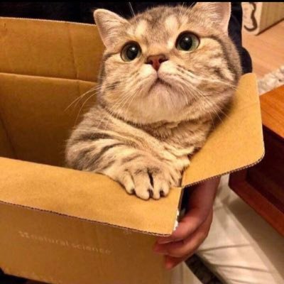 checkcheck976's profile picture. 