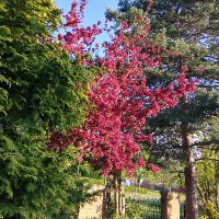 t_witterer (@t_witterer) 's Twitter Profile